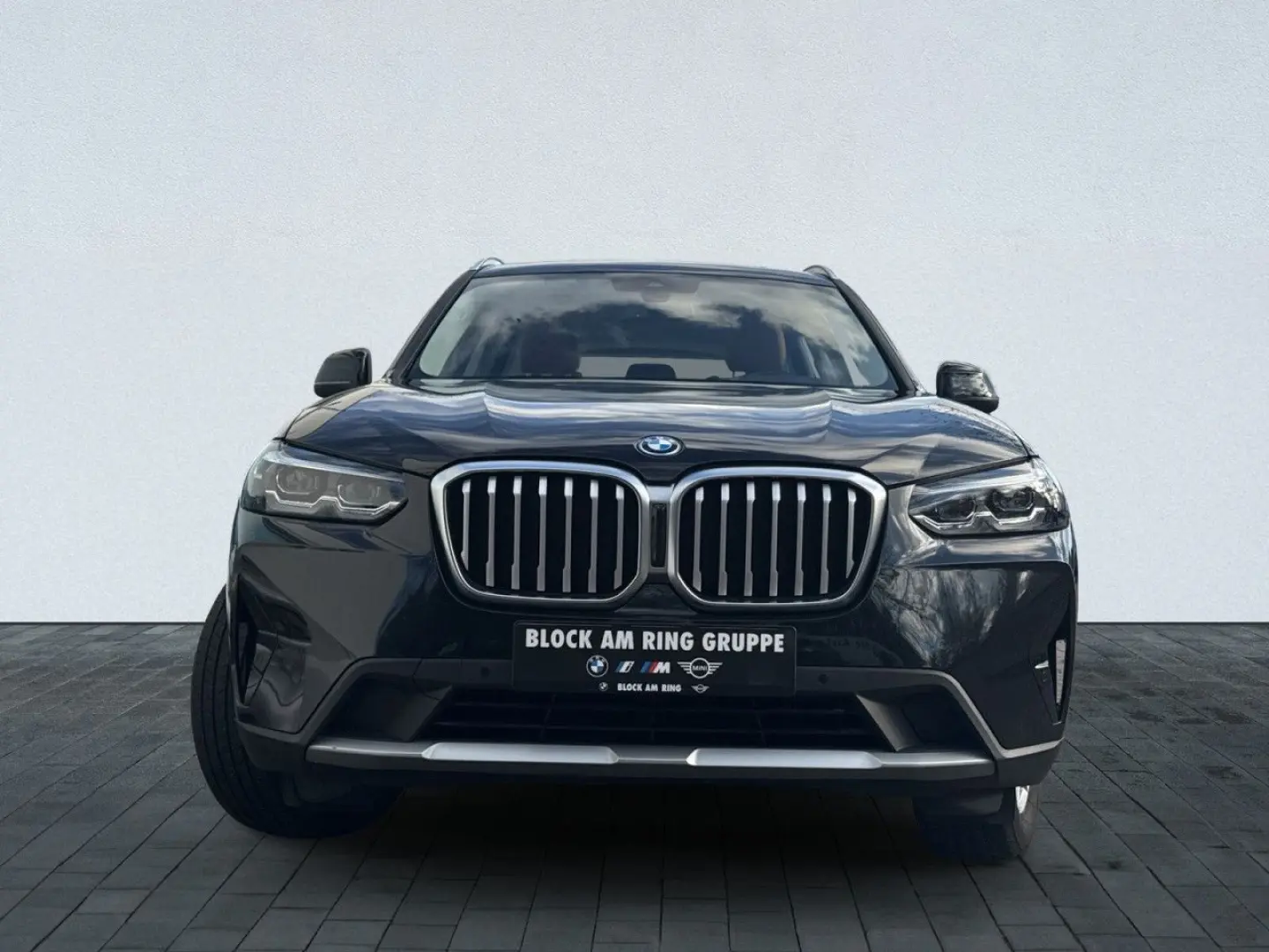 X3 xDrive30e LivePlus ParkAssis DAB LED SpoSi