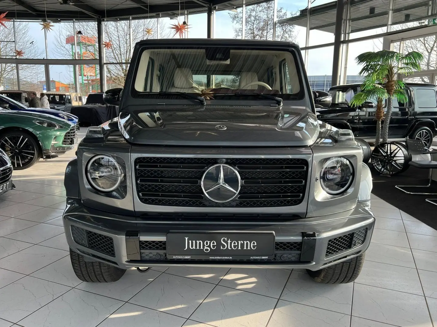 G 500 orig.KM Stronger than time AMG Standhzg TV