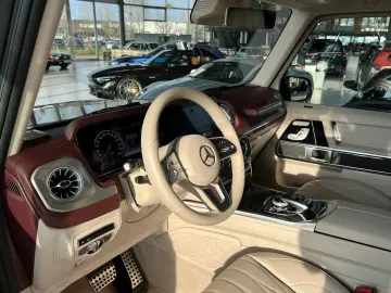 G 500 orig.KM Stronger than time AMG Standhzg TV