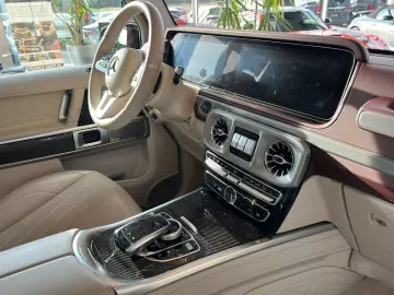 G 500 orig.KM Stronger than time AMG Standhzg TV