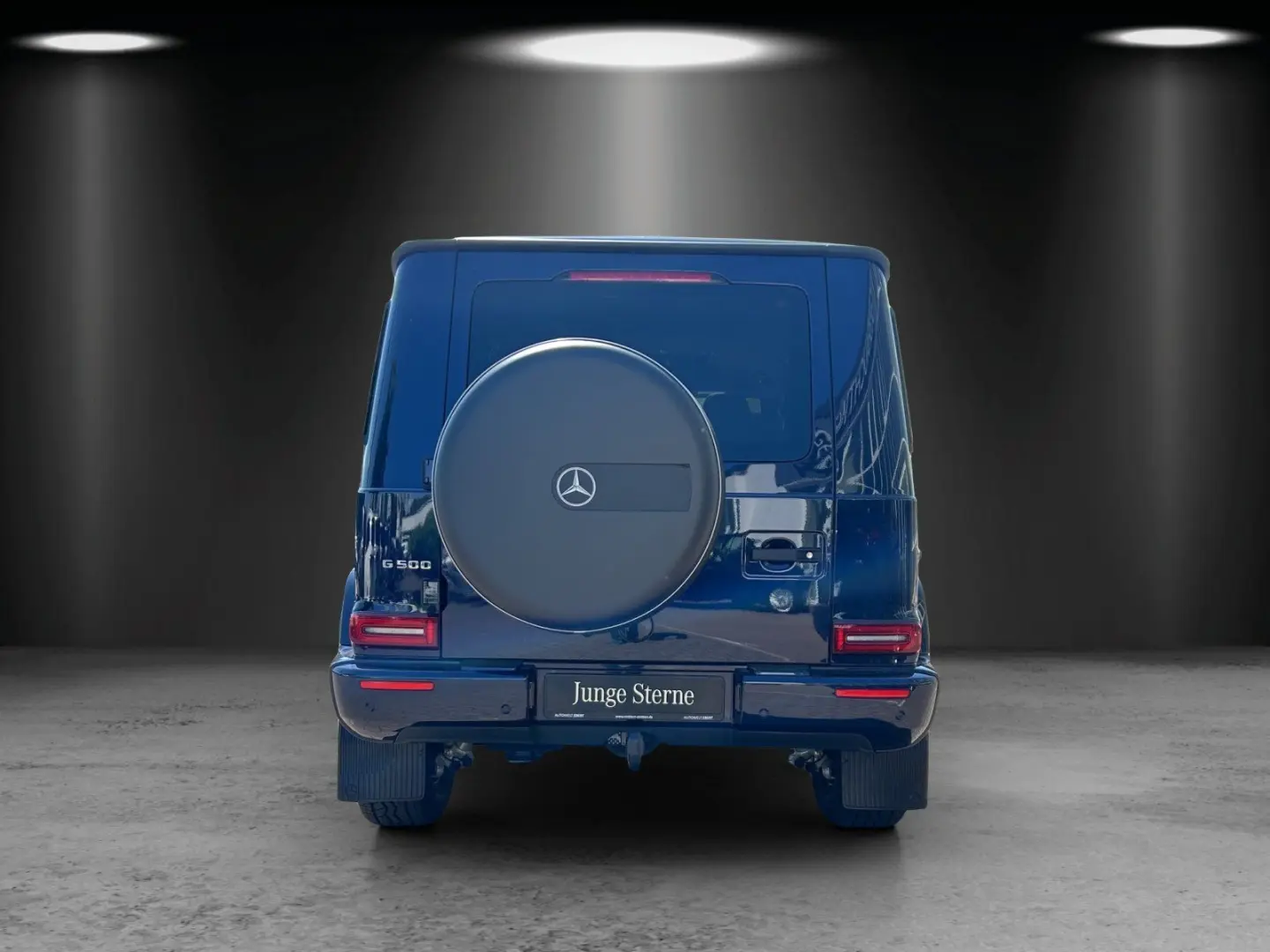 G500 Professio AHK Exclusiv Massage Standhz MLED