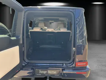 G500 Professio AHK Exclusiv Massage Standhz MLED