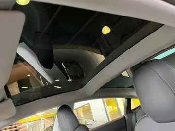 Model 3 Performance Dual AWD