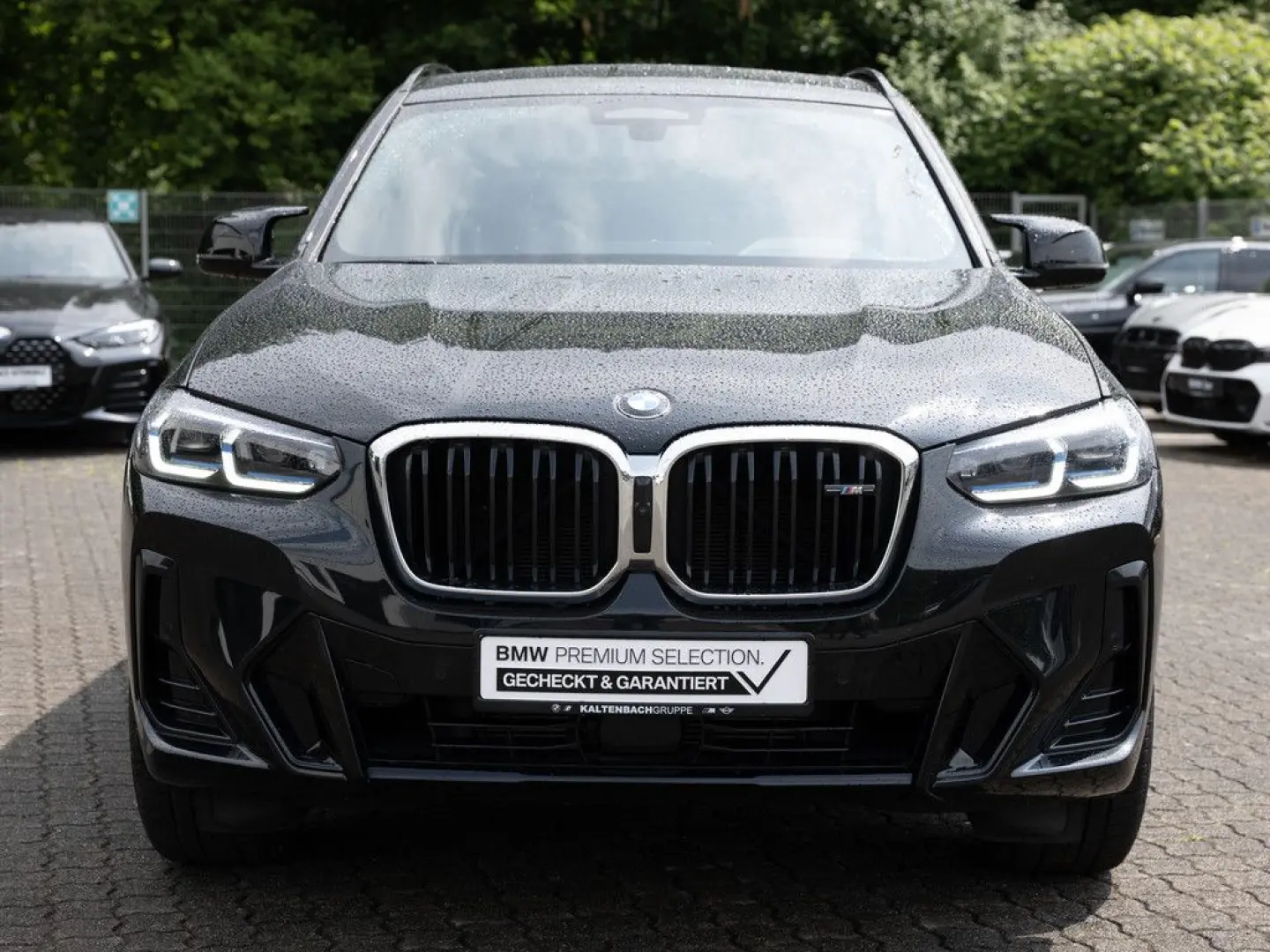X3 40i xDrive PANO AHK HUD LASER STANDHZ NAVI