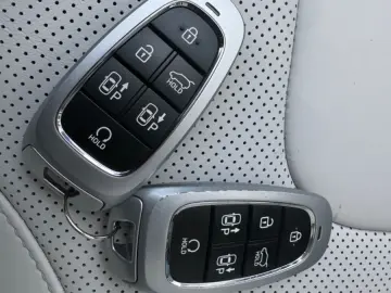 SANTA FE 1.6T-GDI Plug-In 4WD Signature Panorama