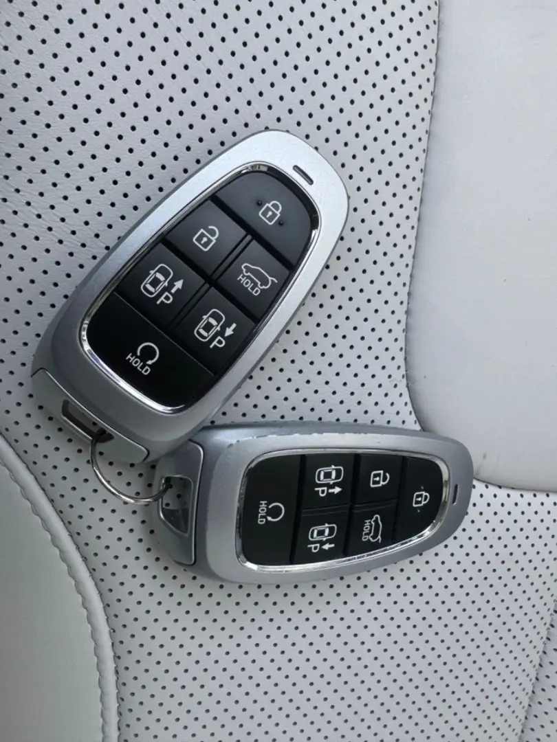 SANTA FE 1.6T-GDI Plug-In 4WD Signature Panorama