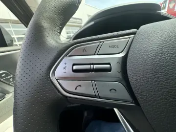 SANTA FE 1.6T-GDI Plug-In 4WD Signature Panorama
