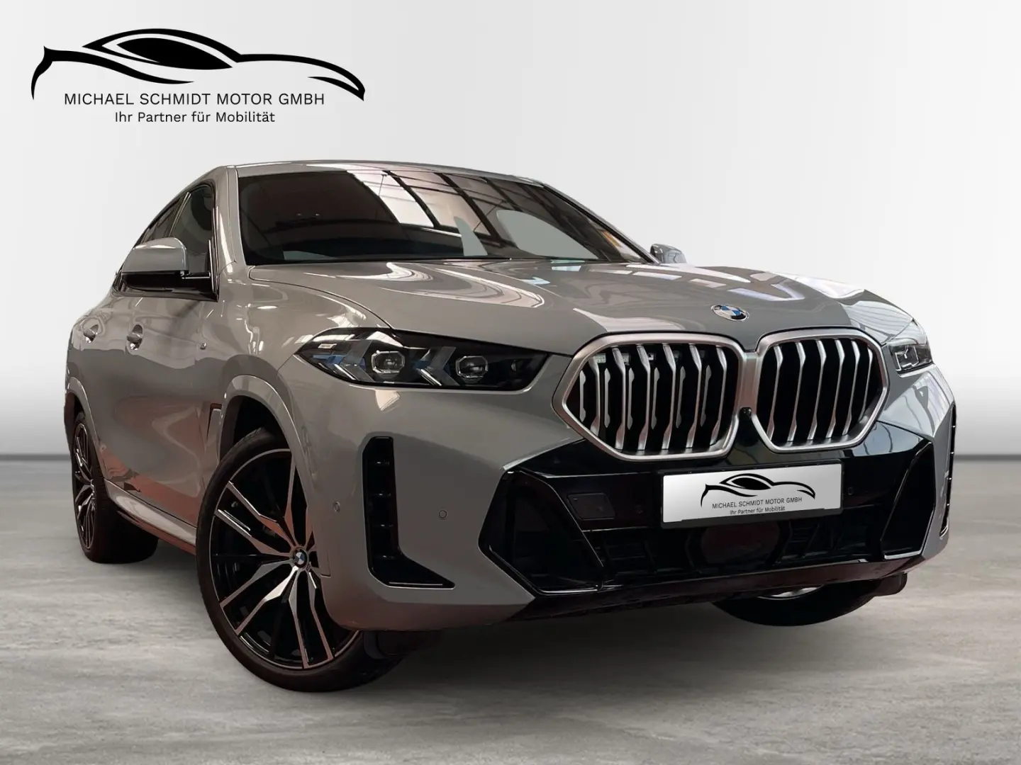 X6 xDrive40d M Sportpaket*22 Zoll*H/K*2 Achs*Pan