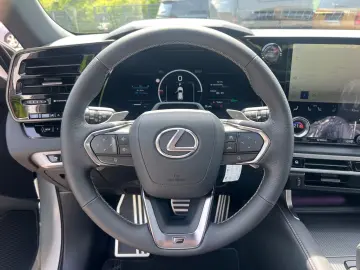 Lexus RX 500 F Sport.DIRECT4+Perf.Mark-Levin.