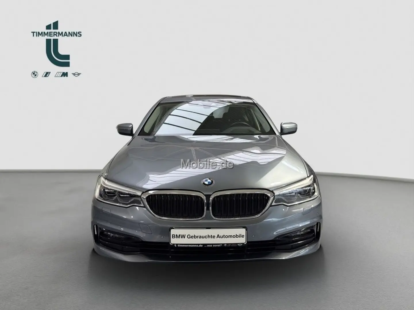 530e xDrive adapLED HUD Harman Glasdach
