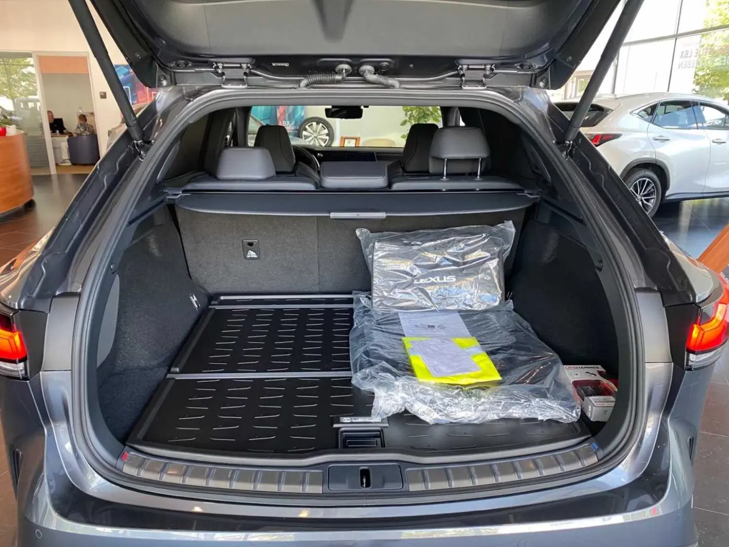 Lexus RX 500 RX500h 2.4 Hybrid F-Sport+ PANO