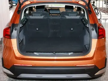 X1 xDrive25e