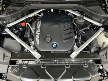 X6 xDrive30d M Sport AHK Harman/K Kamera LED