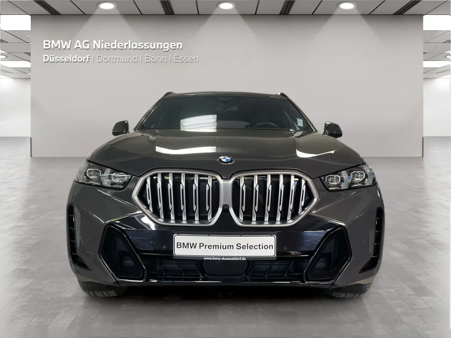 X6 xDrive40i M Sport Standheizung Massage AHK