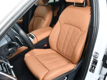 X6 xDrive30d M Sport 360° ACC Sitzlüft. Massage