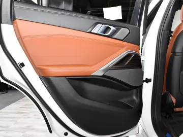X6 xDrive40d M Sport Pro Sitzlüftung ACC SkyLou