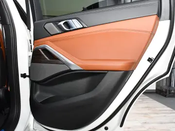 X6 xDrive40d M Sport Pro Sitzlüftung ACC SkyLou