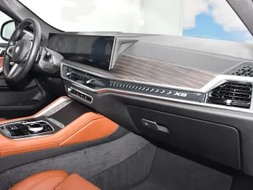 X6 xDrive40d M Sport Pro Sitzlüftung ACC SkyLou