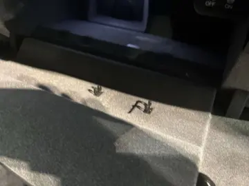 Macan GTS Sportabgasanlage Lenkradheizung LED