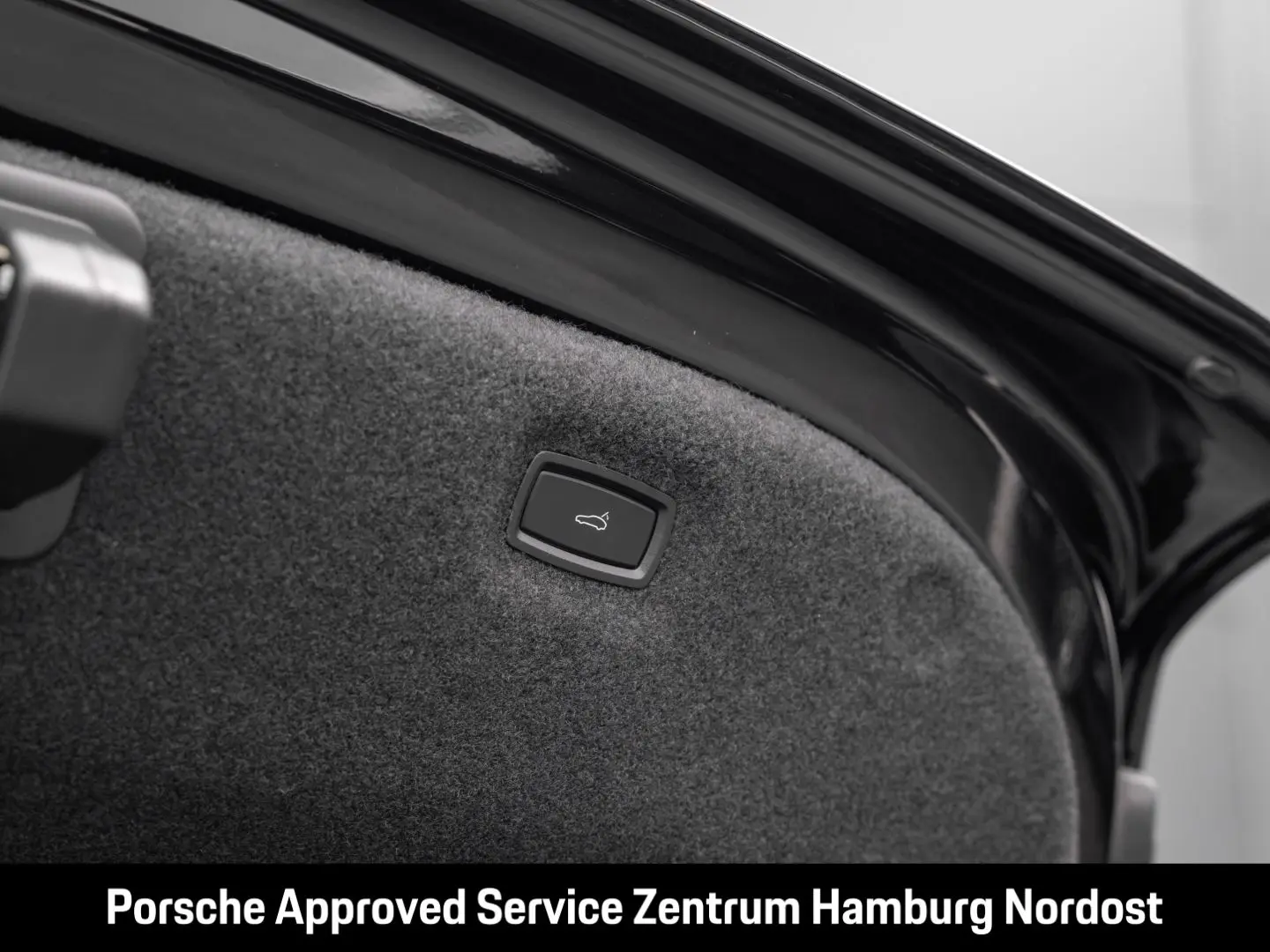 Taycan Panorama PASM ParkAssistent Pano 20 Zoll