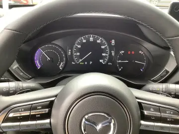 MX-30 e-SKYACTIV 3-phasig Makato Premium-P. Bose