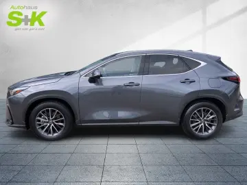 LEXUS NX 350 350h Executive Line*360° KAMERA*