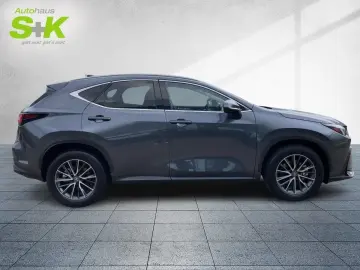 LEXUS NX 350 350h Executive Line*360° KAMERA*