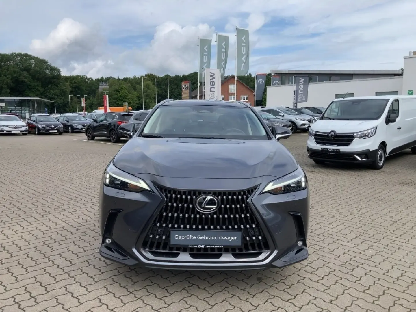 LEXUS NX 350 350h Executive Line*360° KAMERA*