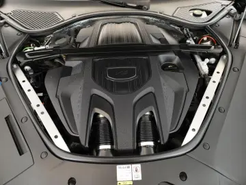 Panamera 4 Platinum Edition 4+1 Sportabgas 21