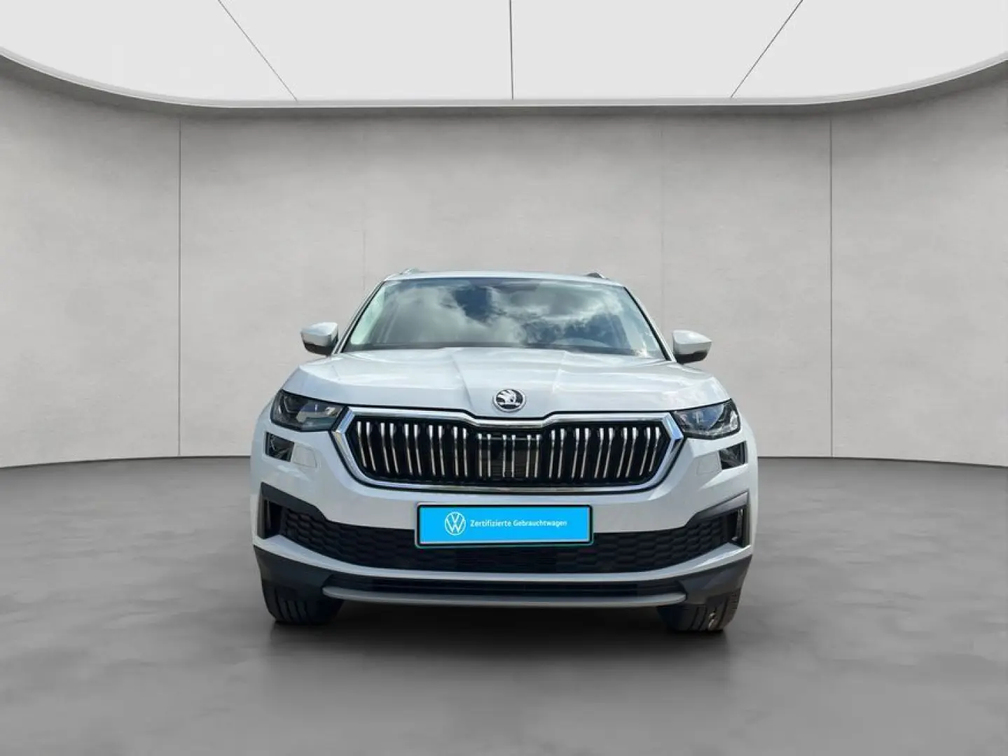 Kodiaq 2.0 TDI 4x4 DSG Style NAVI RFK SHZ ACC AH