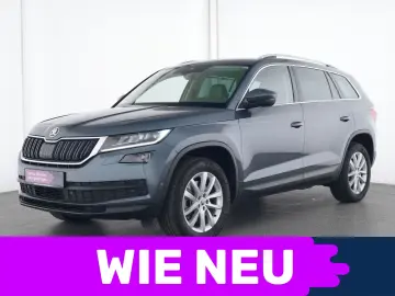 Kodiaq Style AHK Kamera LED ACC Kessy Canton SHZ