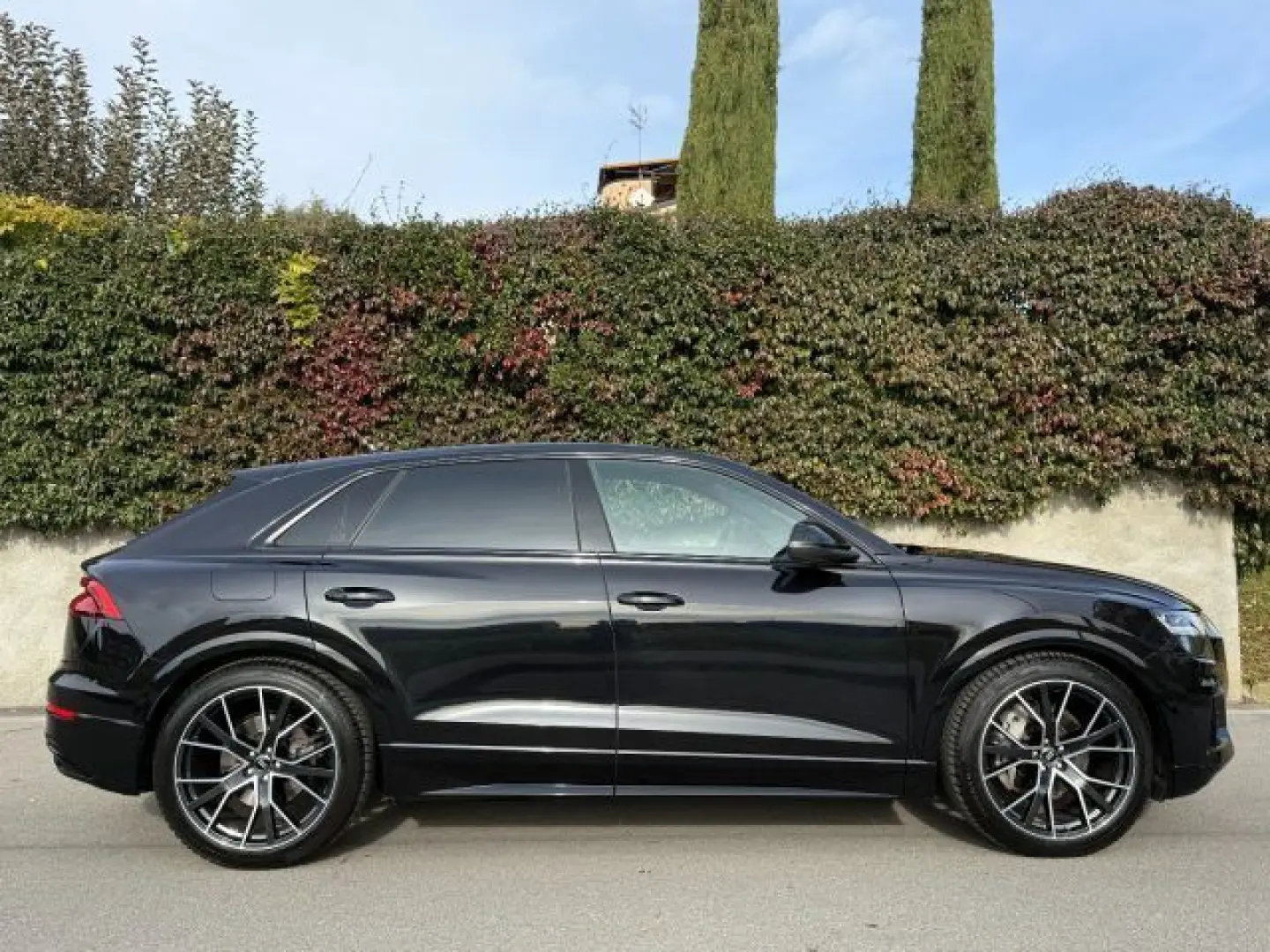 AUDI Q8 50 TDI 286 CV quattro tiptronic