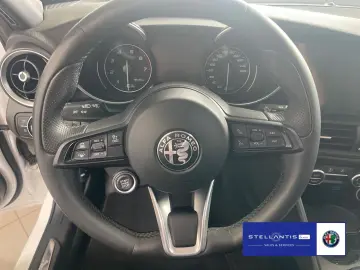 Giulia 2.0 Turbo 16V Ti Q4 ab 5,49%