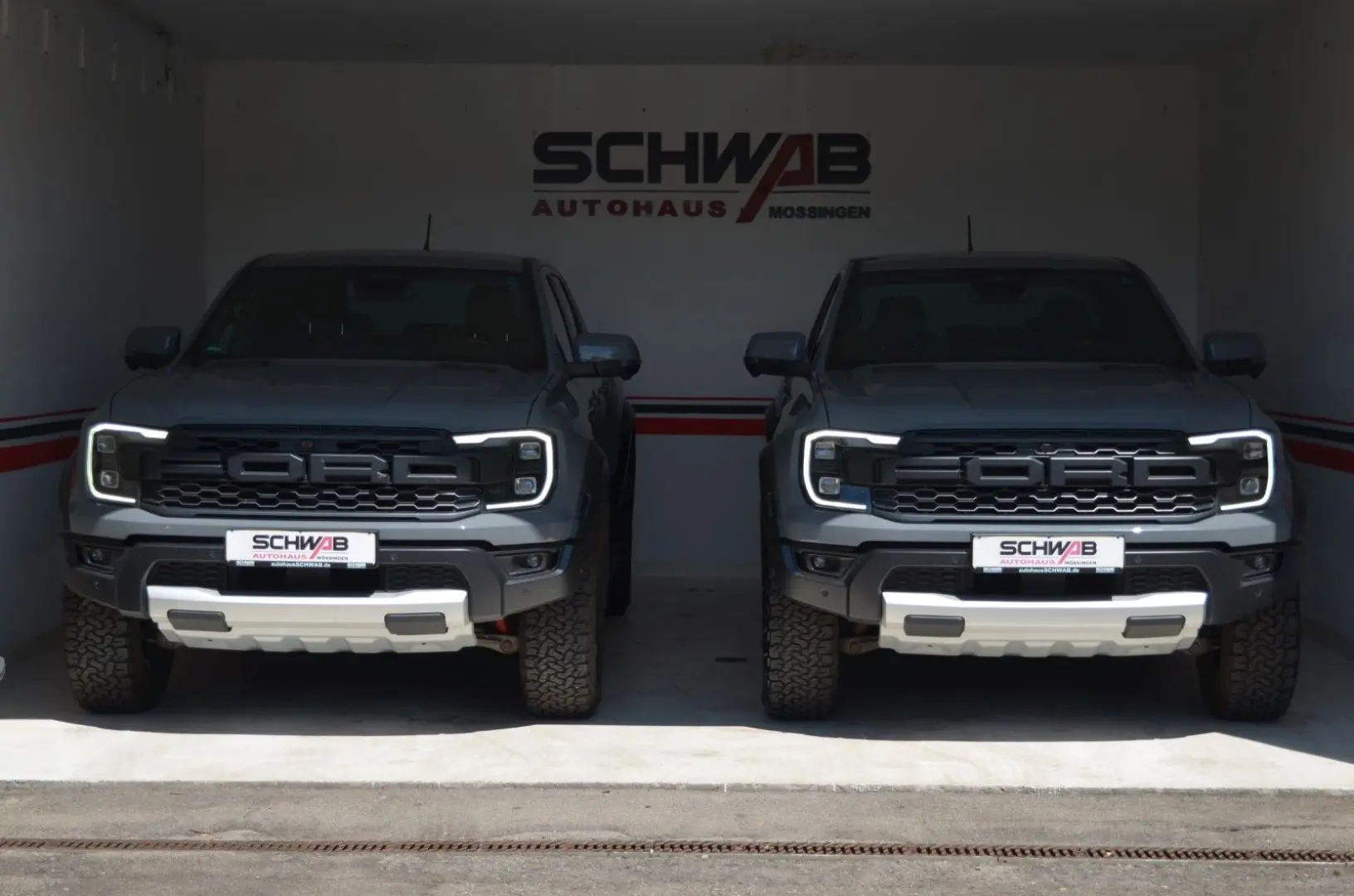 Raptor Grey Sport | PDC + Kamera | Navi | LED