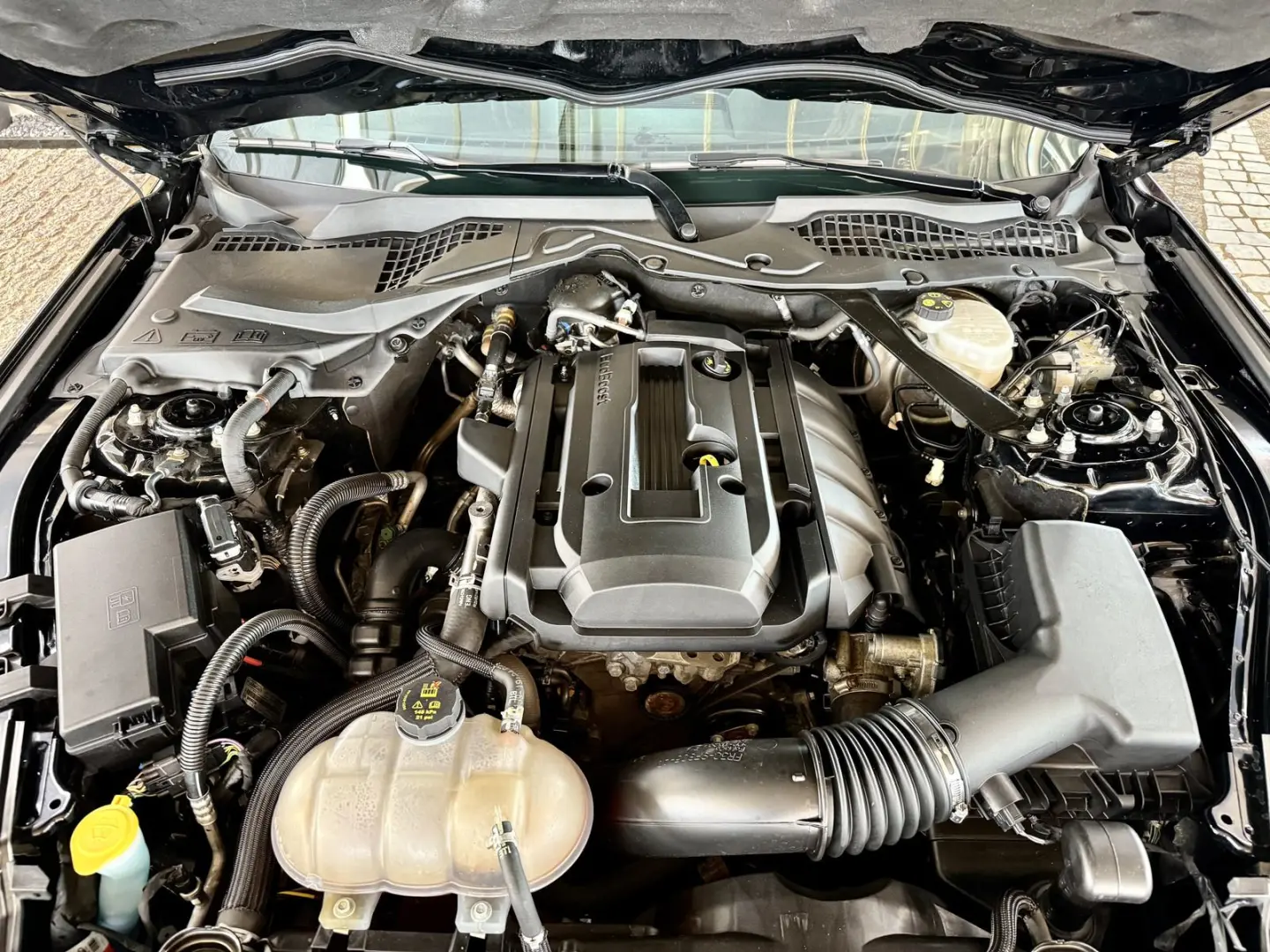 Mustang 2,3 EB Cabrio Aut.