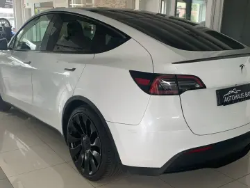 Model Y Performance* Matrix-LED* Mwst ausweisbar