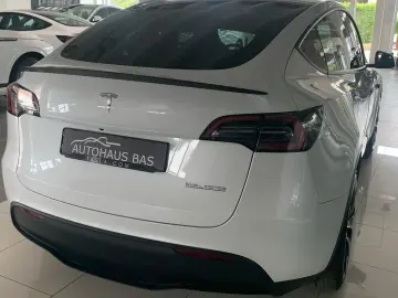 Model Y Performance* Matrix-LED* Mwst ausweisbar