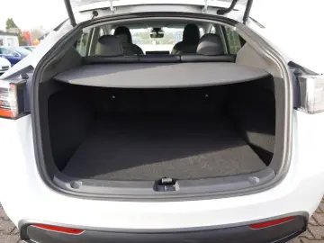 Model Y Performance* Matrix-LED* Mwst ausweisbar