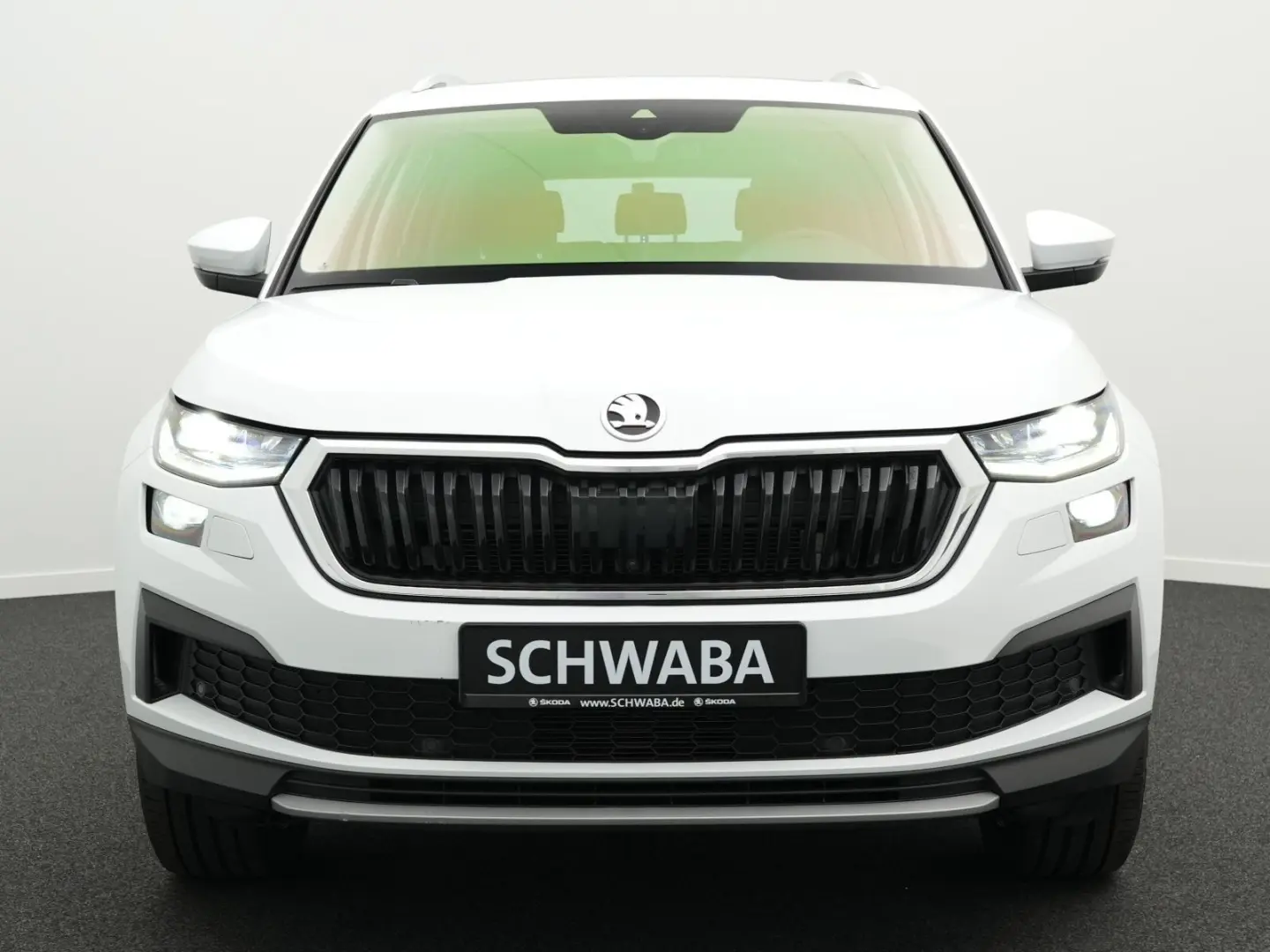 Kodiaq Style 2.0 TSI DSG 4x4 *ACC*StdHz*PANO*19*