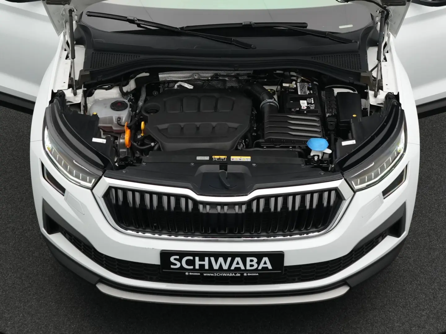 Kodiaq Style 2.0 TSI DSG 4x4 *ACC*StdHz*PANO*19*