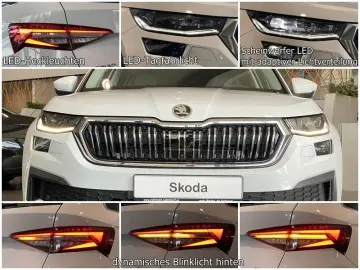 Kodiaq 2.0 TDI 4x4 L&K ViCo Sbel Sthz AHK ACC 7S
