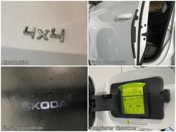 Kodiaq 2.0 TDI 4x4 L&K ViCo Sbel Sthz AHK ACC 7S