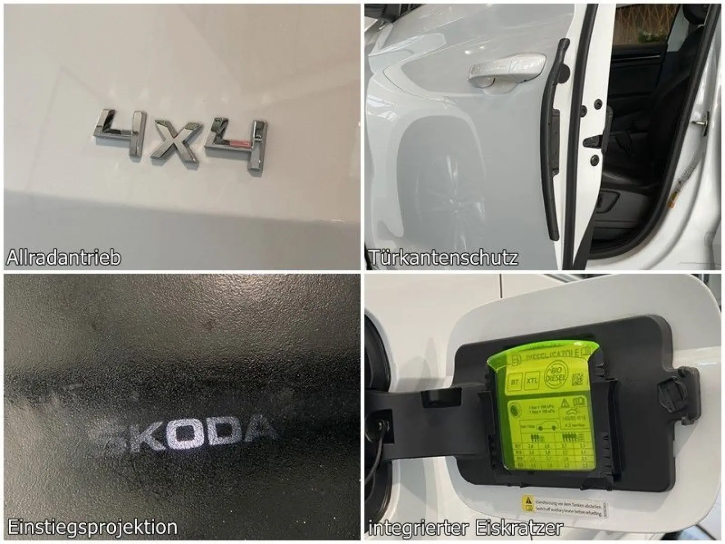 Kodiaq 2.0 TDI 4x4 L&K ViCo Sbel Sthz AHK ACC 7S