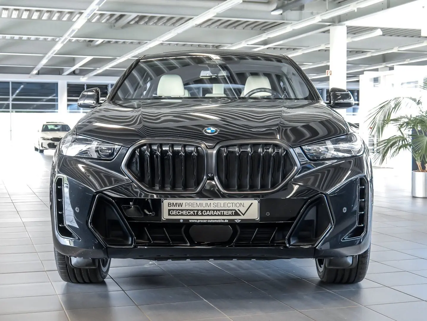 X6 xDrive30d M Sport PANO RFK NAVI LM