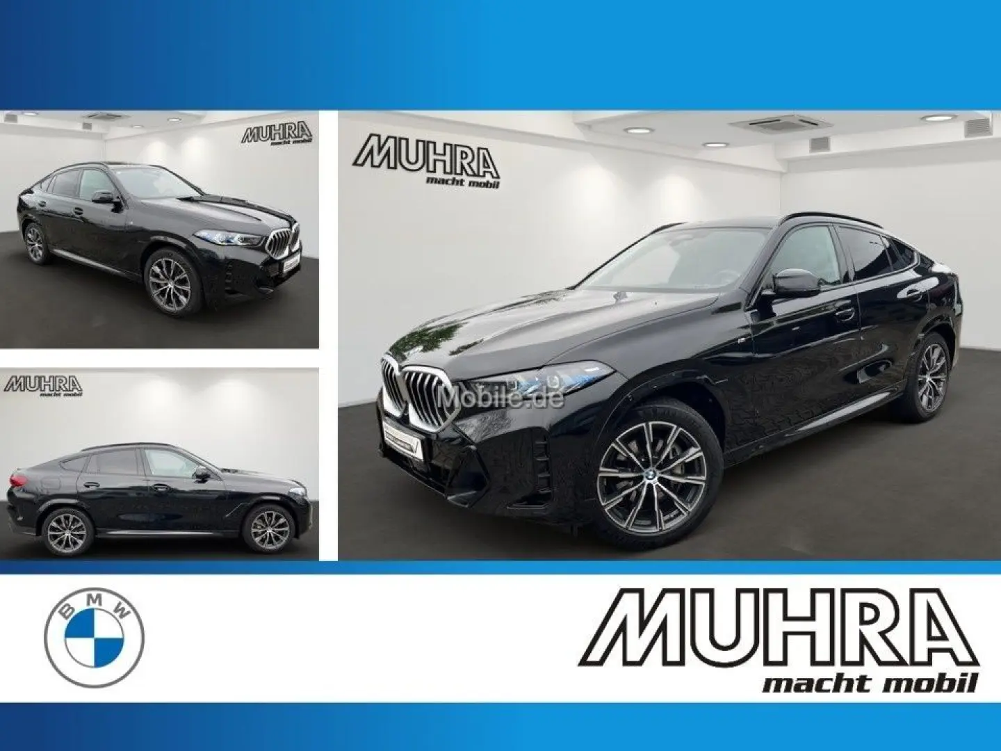 X6 xDrive30d M Sport 2-Achs-Luftfd AHK Sthzg H/K