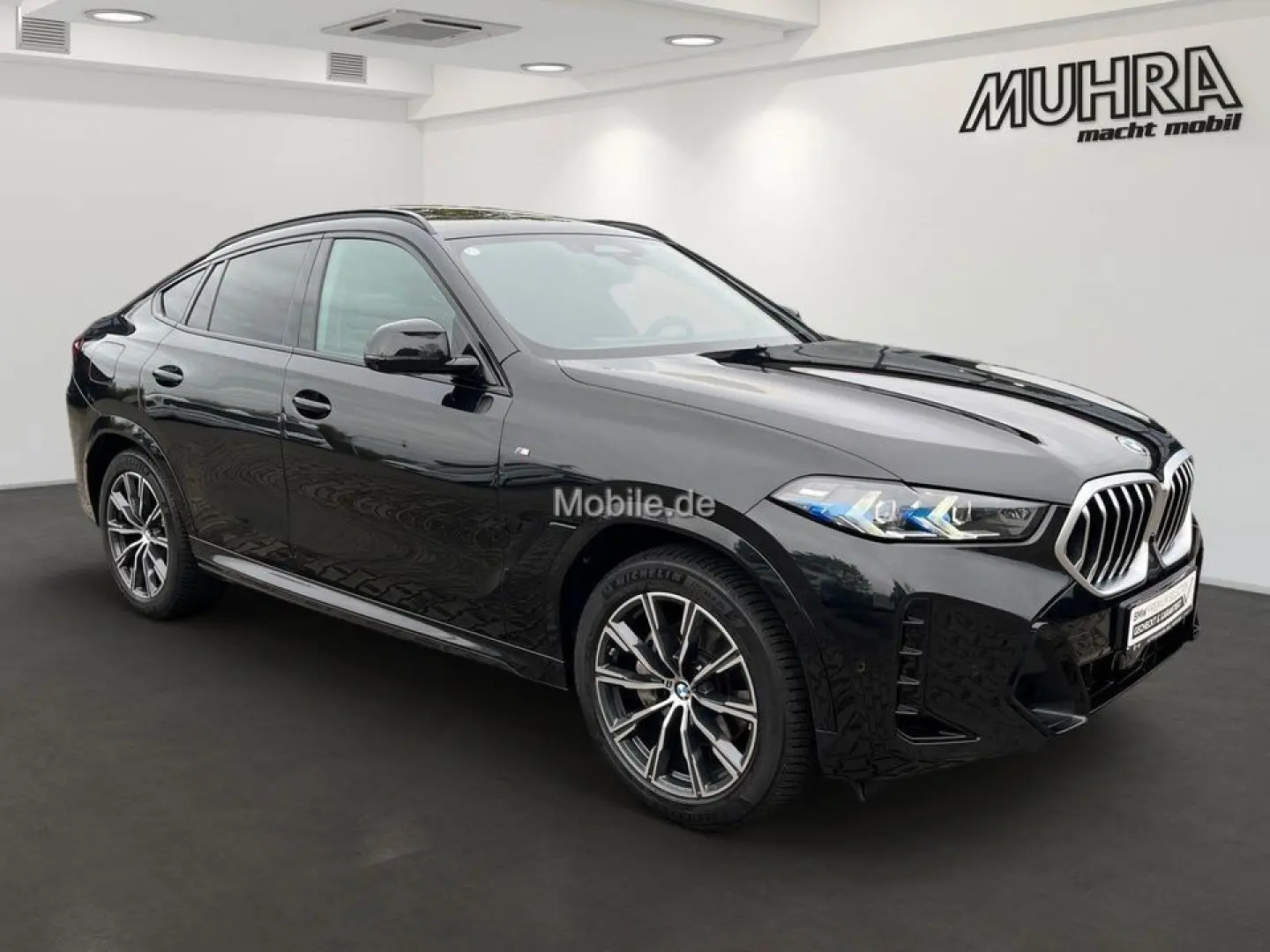 X6 xDrive30d M Sport 2-Achs-Luftfd AHK Sthzg H/K