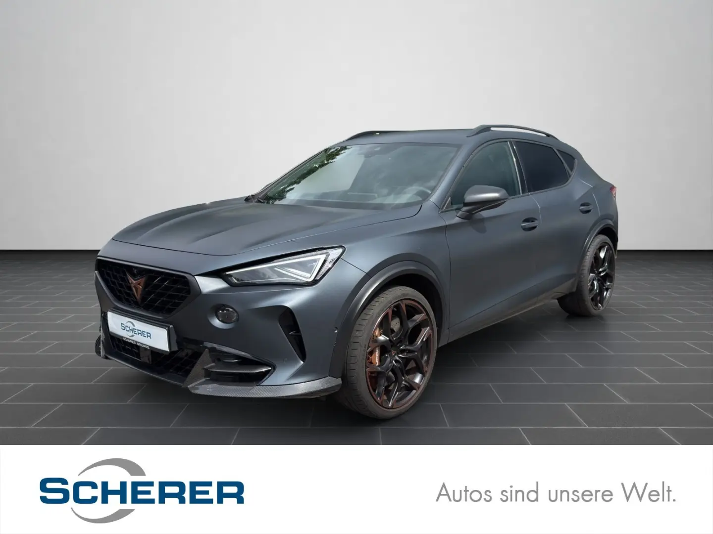 Formentor VZ5 2.5 TSI 4Drive MATRIX KAMERA LEDER