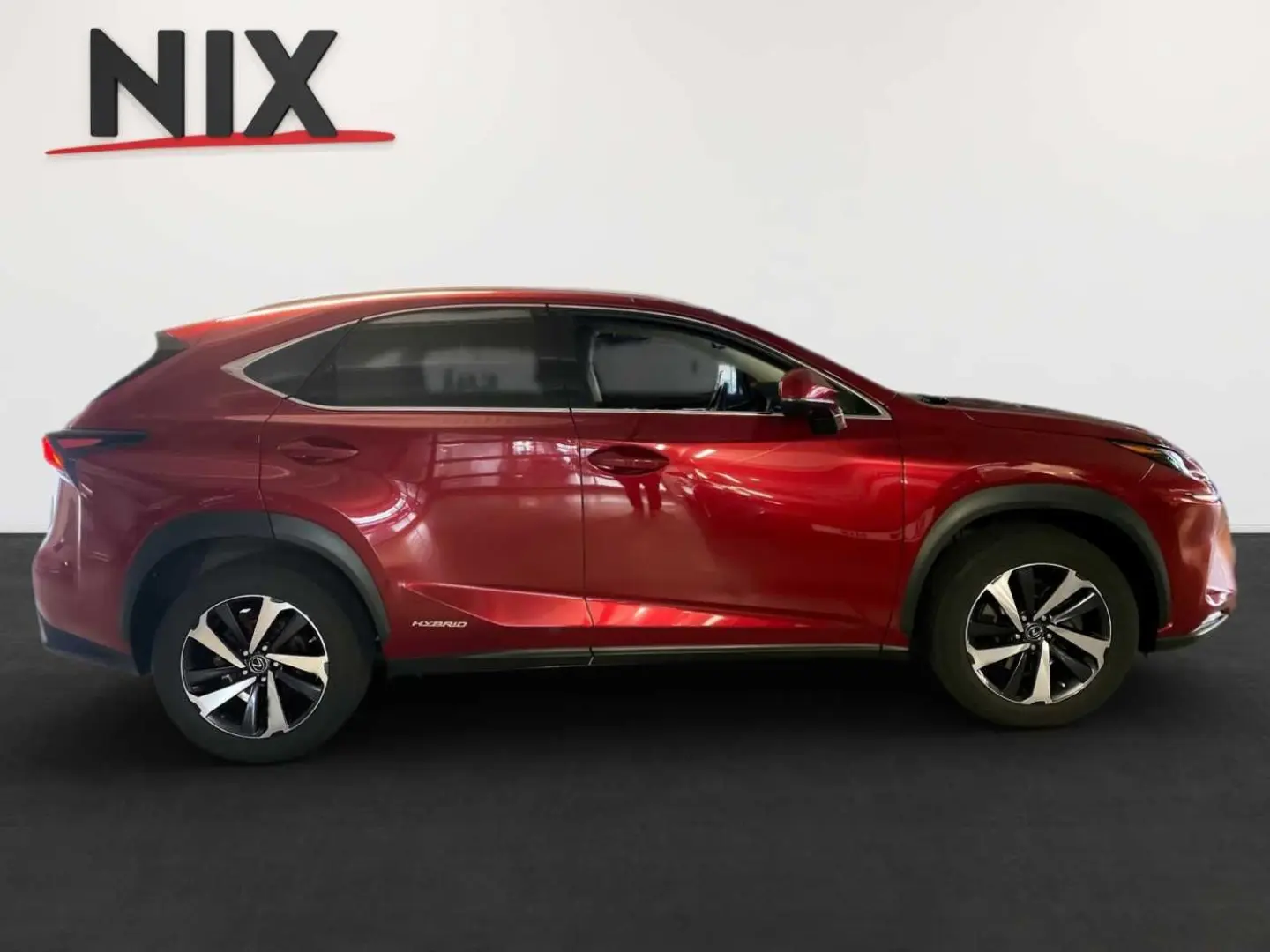 NX 300h Luxury Line 360°KAMERA NAVI LED