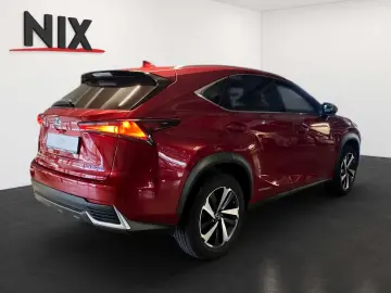 NX 300h Luxury Line 360°KAMERA NAVI LED