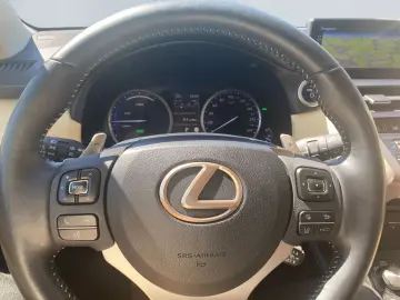 NX 300h E-FOUR Luxury Line *Matrix*360*HUD*Pano*